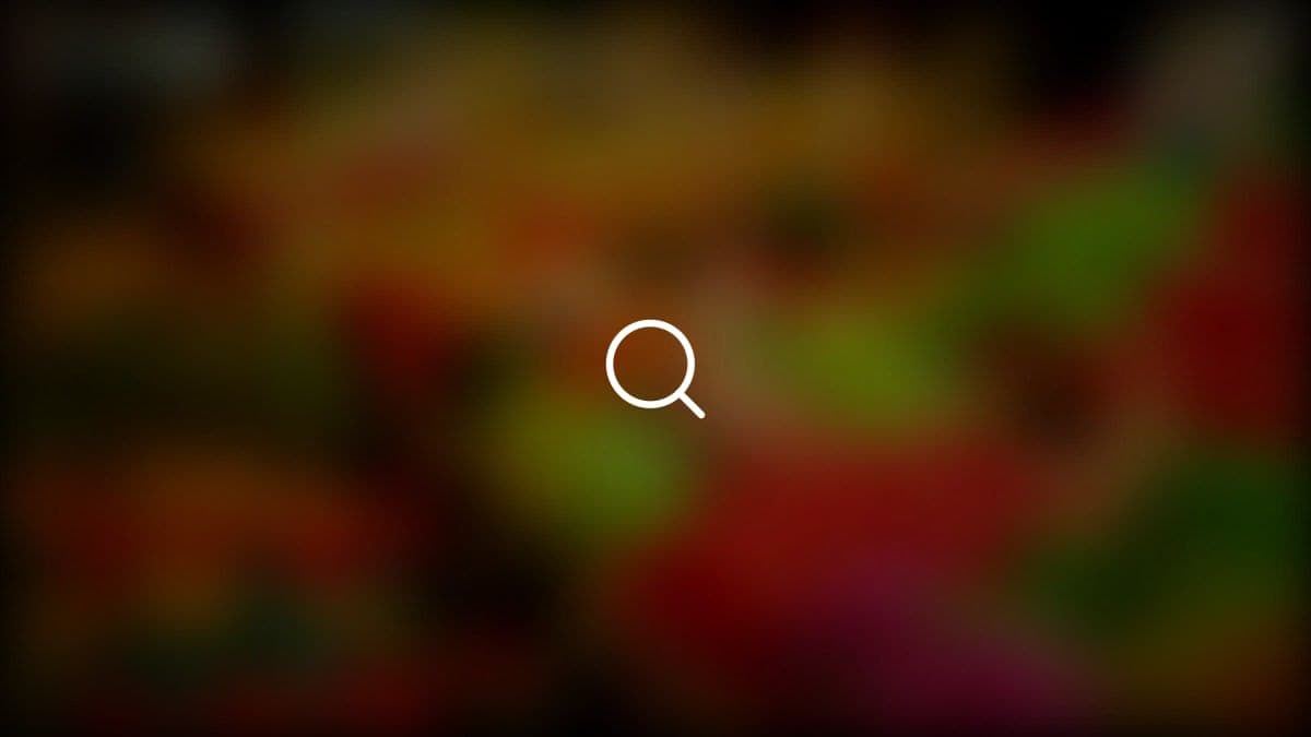 Estrategias específicas para ganar seguidores en Instagram y TikTok